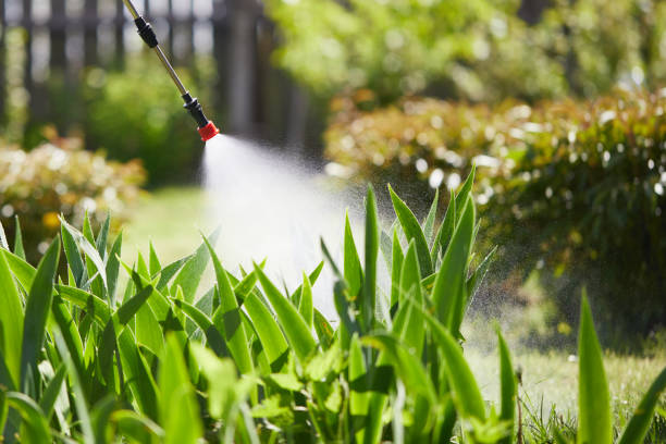 24/7 Emergency Wasp Removal experts in Green Cove Springs, FL