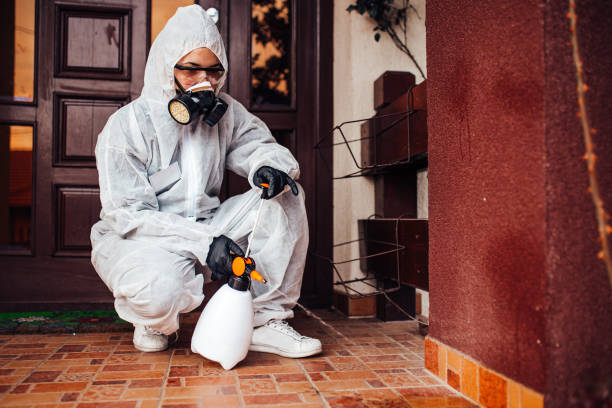 Reliable Wasp Removal contractor in Green Cove Springs, FL by Show Me Pest Control