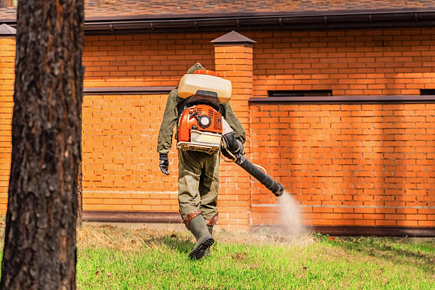 Top rated local Wasp Removal specialists in Green Cove Springs, FL